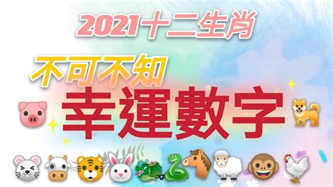 屬虎的幸運數字|12生肖「幸運數字」曝光！專家：掌握好一生富貴